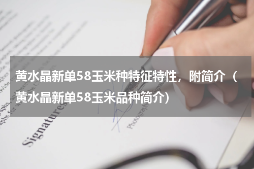 黄水晶新单58玉米种特征特性，附简介（黄水晶新单58玉米品种简介）