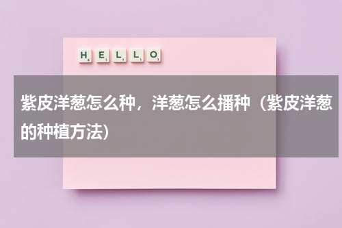 紫皮洋葱怎么种，洋葱怎么播种（紫皮洋葱的种植方法）
