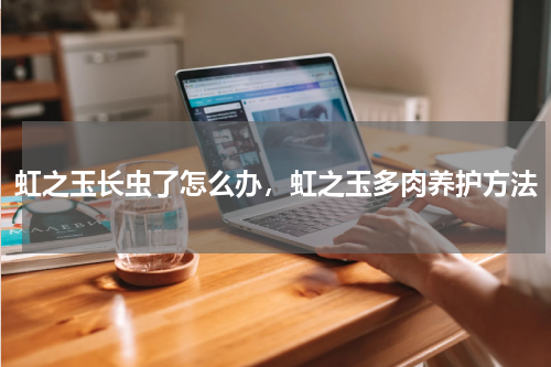 虹之玉长虫了怎么办，虹之玉多肉养护方法