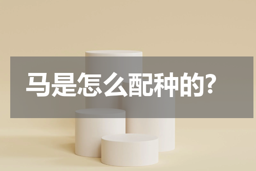 马是怎么配种的?