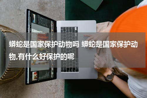 蟒蛇是国家保护动物吗 蟒蛇是国家保护动物,有什么好保护的呢