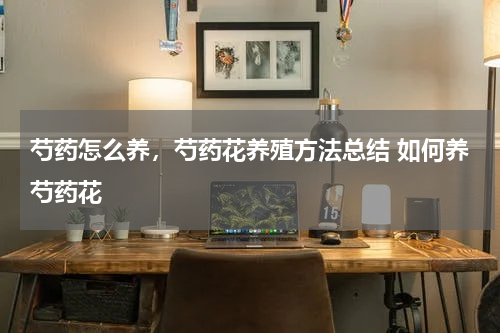 芍药怎么养，芍药花养殖方法总结 如何养芍药花