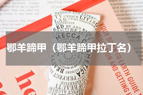 鄂羊蹄甲（鄂羊蹄甲拉丁名）