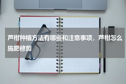 芦柑种植方法有哪些和注意事项，芦柑怎么施肥修剪