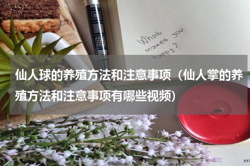 仙人球的养殖方法和注意事项（仙人掌的养殖方法和注意事项有哪些视频）