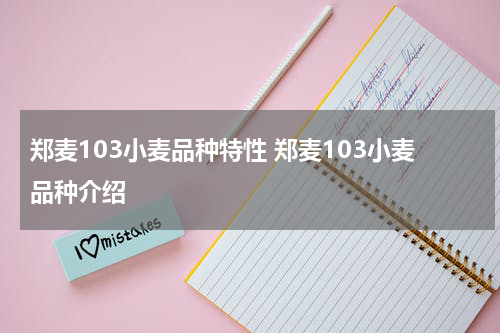 郑麦103小麦品种特性 郑麦103小麦品种介绍