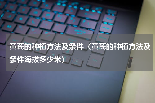 黄芪的种植方法及条件（黄芪的种植方法及条件海拔多少米）