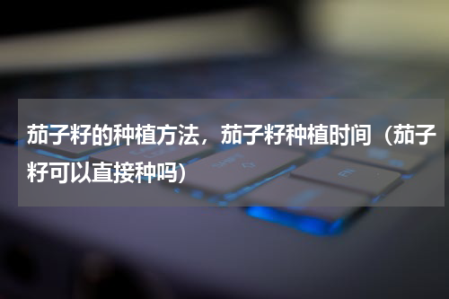 茄子籽的种植方法，茄子籽种植时间（茄子籽可以直接种吗）