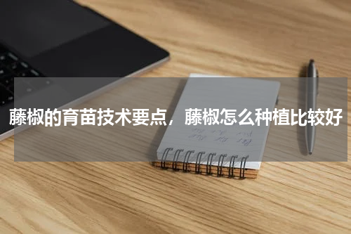 藤椒的育苗技术要点，藤椒怎么种植比较好