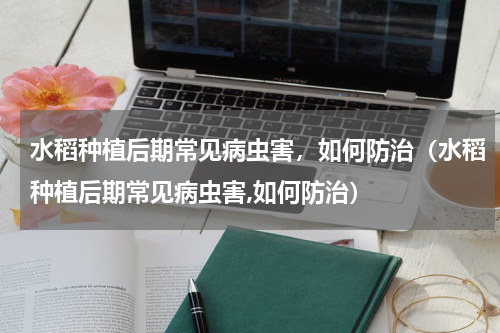水稻种植后期常见病虫害，如何防治（水稻种植后期常见病虫害,如何防治）