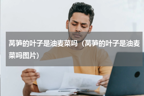 莴笋的叶子是油麦菜吗（莴笋的叶子是油麦菜吗图片）