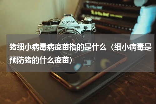 猪细小病毒病疫苗指的是什么（细小病毒是预防猪的什么疫苗）