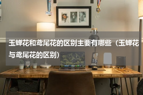 玉蝉花和鸢尾花的区别主要有哪些（玉蝉花与鸢尾花的区别）