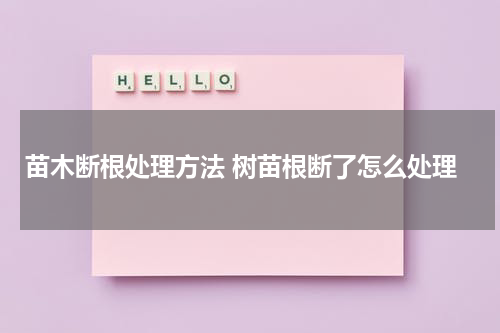 苗木断根处理方法 树苗根断了怎么处理