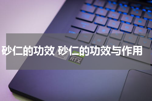 砂仁的功效 砂仁的功效与作用