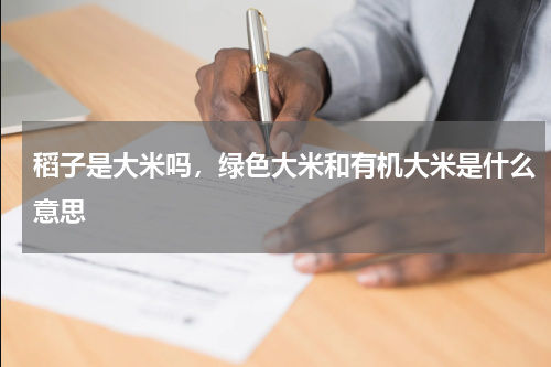 稻子是大米吗，绿色大米和有机大米是什么意思