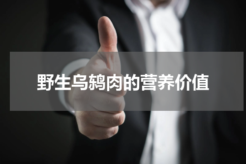 野生乌鸫肉的营养价值