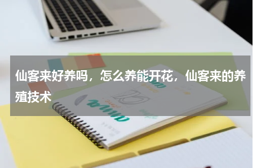 仙客来好养吗，怎么养能开花，仙客来的养殖技术
