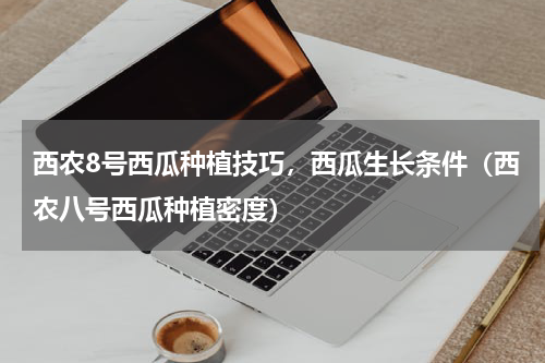 西农8号西瓜种植技巧，西瓜生长条件（西农八号西瓜种植密度）