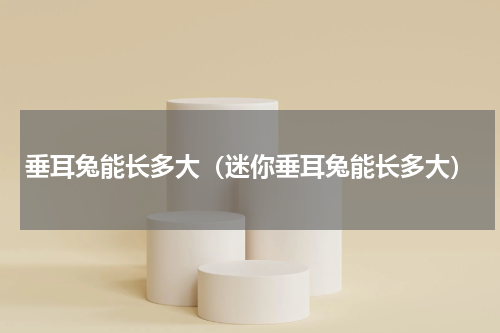 垂耳兔能长多大（迷你垂耳兔能长多大）