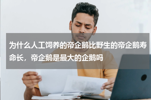 为什么人工饲养的帝企鹅比野生的帝企鹅寿命长，帝企鹅是最大的企鹅吗