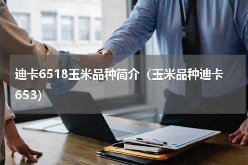 迪卡6518玉米品种简介（玉米品种迪卡653）