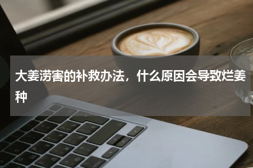 大姜涝害的补救办法，什么原因会导致烂姜种
