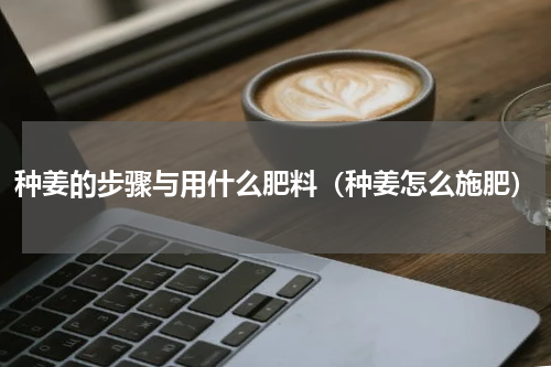 种姜的步骤与用什么肥料（种姜怎么施肥）