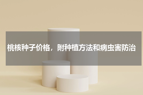 桃核种子价格，附种植方法和病虫害防治