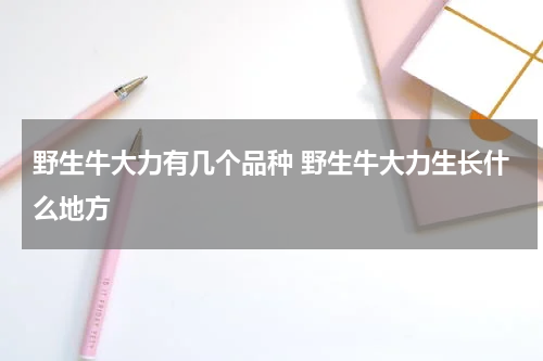 野生牛大力有几个品种 野生牛大力生长什么地方