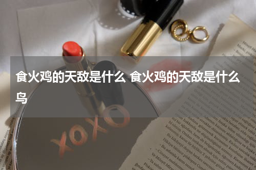 食火鸡的天敌是什么 食火鸡的天敌是什么鸟