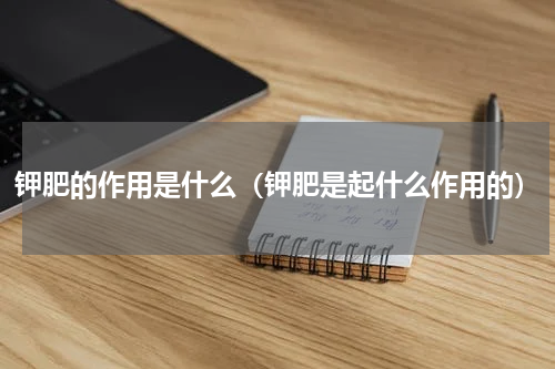 钾肥的作用是什么（钾肥是起什么作用的）