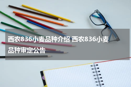 西农836小麦品种介绍 西农836小麦品种审定公告