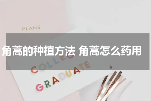 角蒿的种植方法 角蒿怎么药用