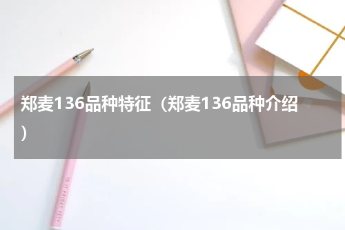 郑麦136品种特征（郑麦136品种介绍）