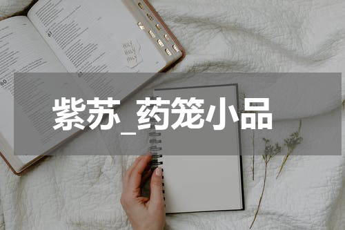 紫苏_药笼小品