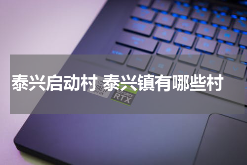 泰兴启动村 泰兴镇有哪些村