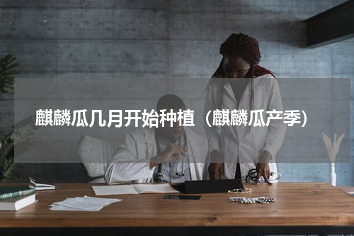 麒麟瓜几月开始种植（麒麟瓜产季）