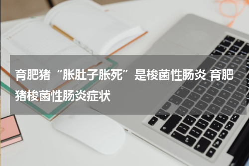 育肥猪“胀肚子胀死”是梭菌性肠炎 育肥猪梭菌性肠炎症状