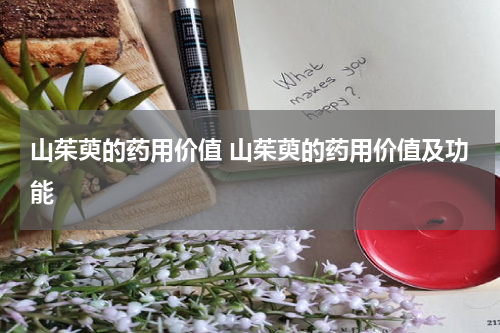 山茱萸的药用价值 山茱萸的药用价值及功能