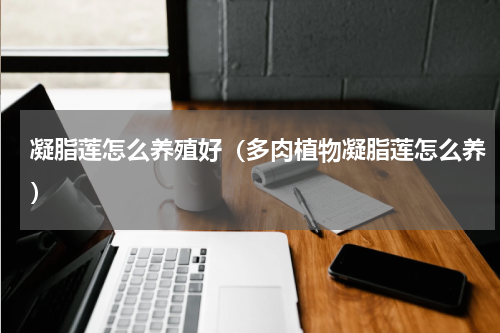 凝脂莲怎么养殖好（多肉植物凝脂莲怎么养）