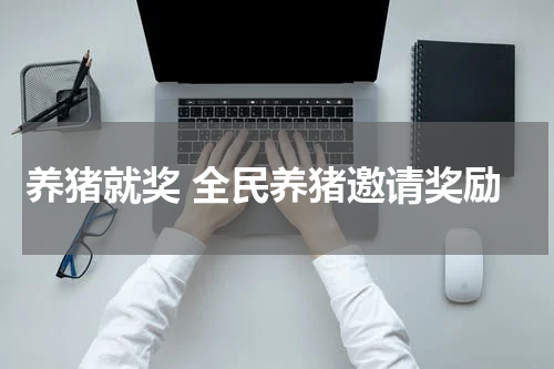 养猪就奖 全民养猪邀请奖励