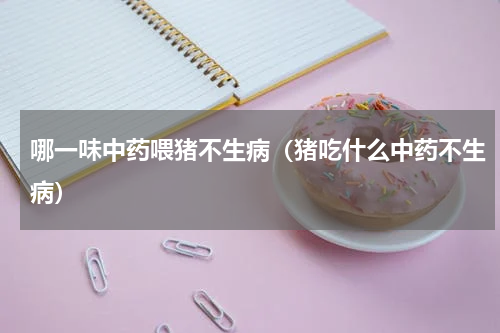 哪一味中药喂猪不生病（猪吃什么中药不生病）