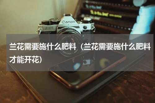 兰花需要施什么肥料（兰花需要施什么肥料才能开花）
