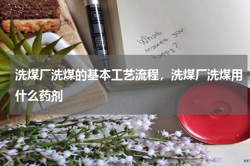 洗煤厂洗煤的基本工艺流程，洗煤厂洗煤用什么药剂