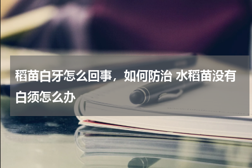 稻苗白牙怎么回事，如何防治 水稻苗没有白须怎么办