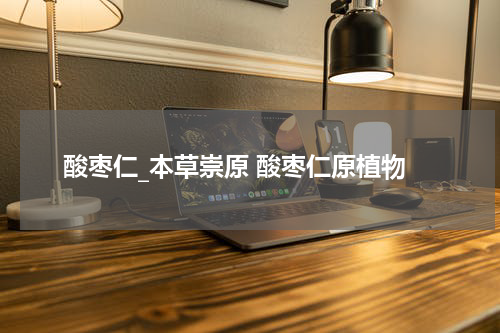酸枣仁_本草崇原 酸枣仁原植物