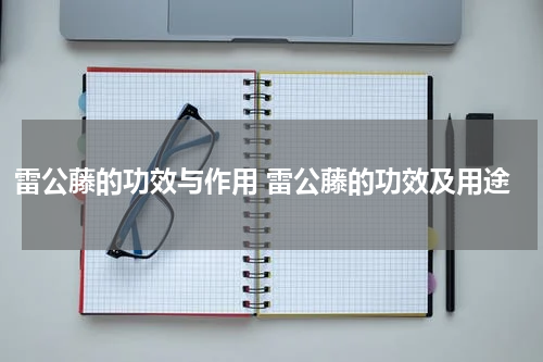 雷公藤的功效与作用 雷公藤的功效及用途