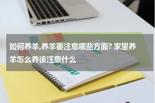 如何养羊,养羊要注意哪些方面? 家里养羊怎么养该注意什么