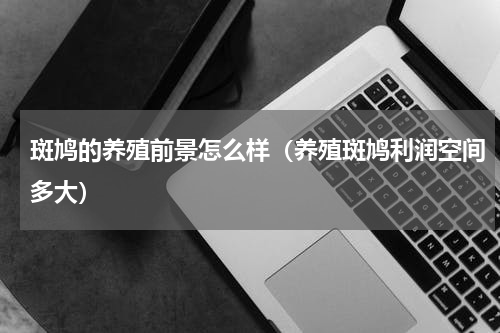 斑鸠的养殖前景怎么样（养殖斑鸠利润空间多大）